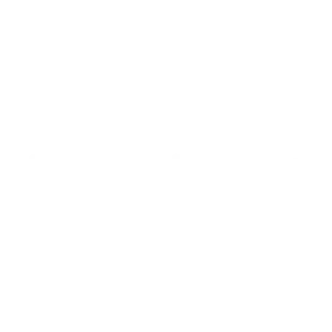 Logo Betin'animaux - La Nounou de vos Animaux